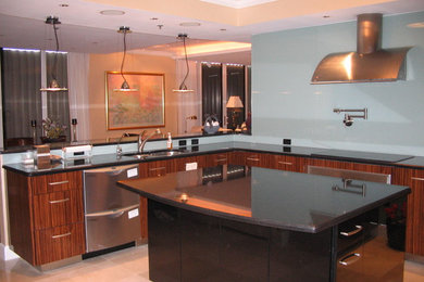 Kitchen - contemporary kitchen idea in Miami