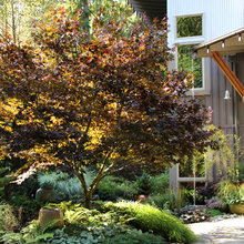 retaining garden