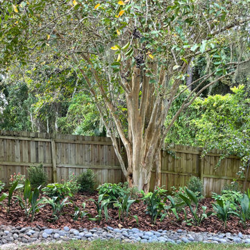 Front and Backyard Landscape Renovation with a Drainage Challenge
