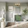 Joyce Bathroom Vanity, Single Sink, 36", Vogue Green, Freestanding