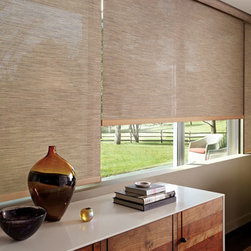Hunter Douglas Designer Screen Shades - Window Blinds