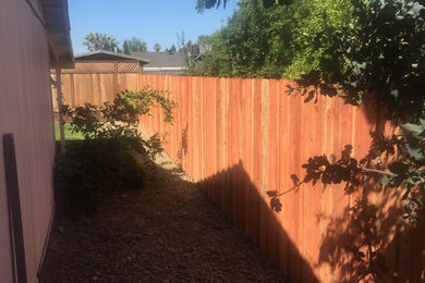 Photo of a mid-sized traditional backyard garden in Sacramento.