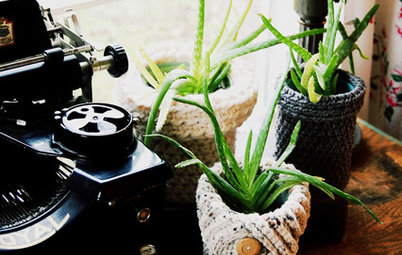 8 Piante Salutari che Renderanno più Bella la tua Camera da Letto