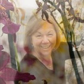 Mimi Glavin's photo