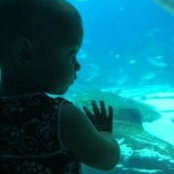 Melissa Winship's photo