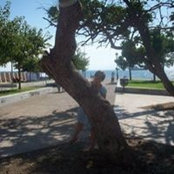 Paula Barbos's photo