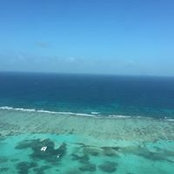 Julie Tucker's photo