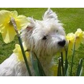 Norma Pepperworth's photo