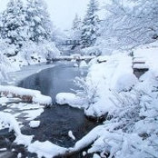 Steph Cannia's photo