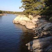 Kim de Waal's photo