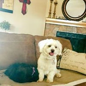 Liz Alva's photo