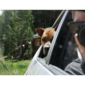 Walt Ohnesorge's photo