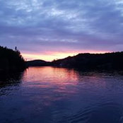 Foto von Mady Davidson