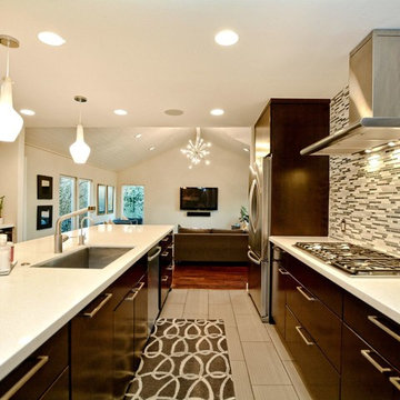 Mid Century Modern Addition Renovation