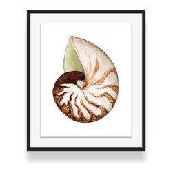 "Breakers Nautilus Shell" Fine Art Print with Black Frame - Fine Art Prints