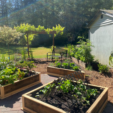 Veggie Garden Makeover