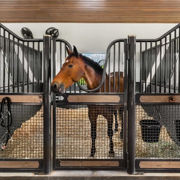 Equestrian: M&M show stables