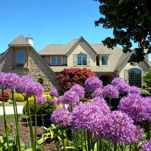Exterior Ideas
