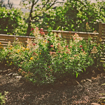 Colorful Garden Beds