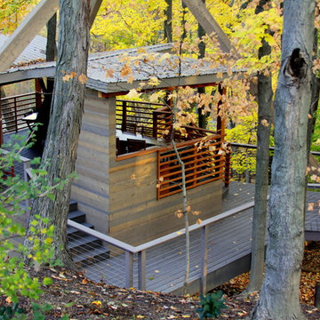 National Park Tree House