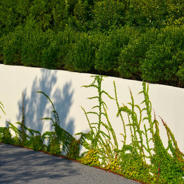 Sagaponack Spec