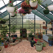 Greenhouse