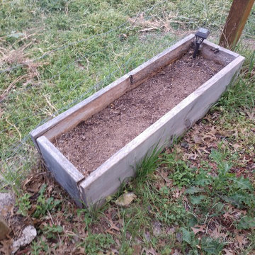 Food Garden