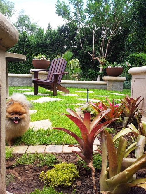 My own garden, Pretoria