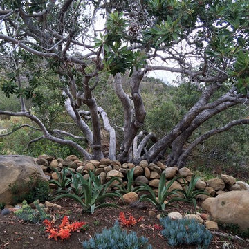 Carpinteria Residence
