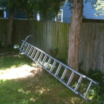 DC Back Yard Before and After