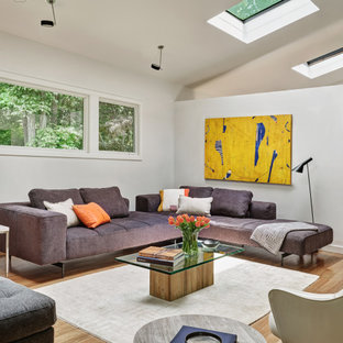 Vaulted Ceiling With Skylights Living Room Ideas Photos Houzz