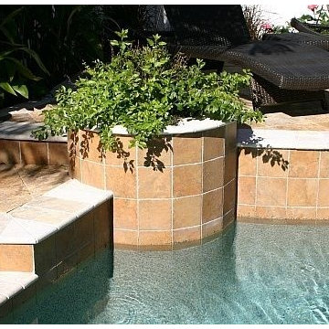 59 - Tuscany Pool with a Travertine Deck