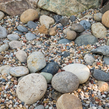 Sculpted Sustainability