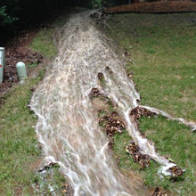 Landscape Ideas