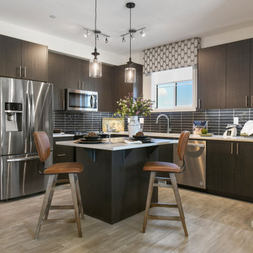Collected and Curated Show Home