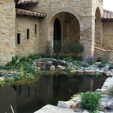 Koi Pond Pre Growth