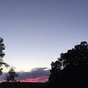 Diane Messier's photo
