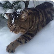 Alice Za's photo