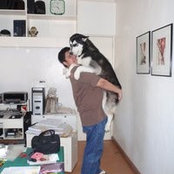 Domenico Lopez's photo