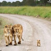 Jason Robinson's photo