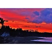 Jane Davidson's photo