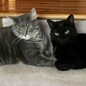 Corliss Tackett's photo