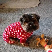 Brenda Nolte's photo