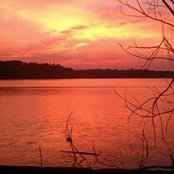 Mike Hill's photo