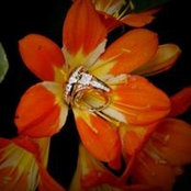 Danielle Adams's photo