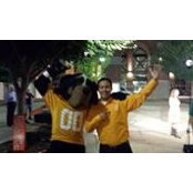 Marco Villa's photo