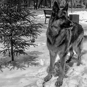 Foto de Евгения Гаврилова
