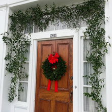 smilax