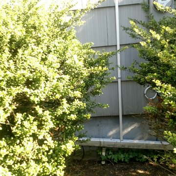 Daikin EMURA 6 zone in Cresskill NJ