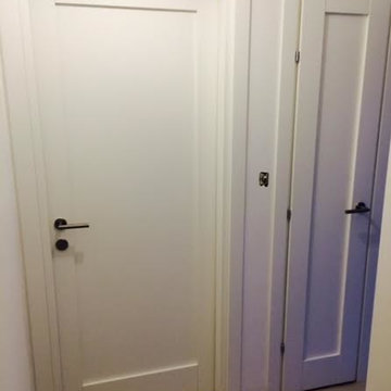 Modern Swing Door in Matte White Finish